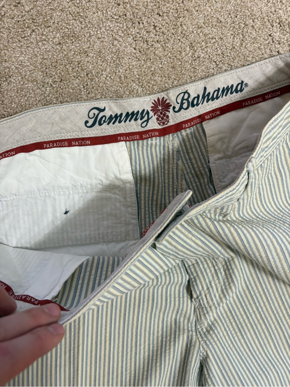 Tommy Bahama striped shorts - 36W - Picture 3 of 6